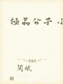 极品公子 小说