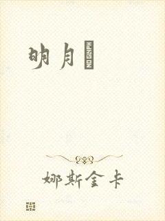 明月珰