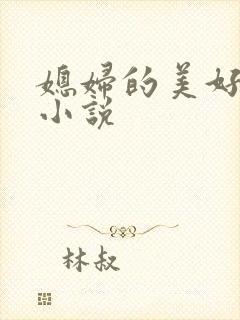 媳妇的美好时代小说封面