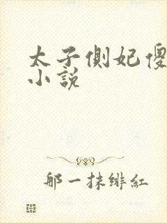 太子侧妃傻乎乎小说