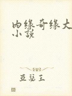 内缘奇缘大团圆小说封面