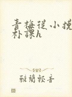 青梅从小摸到大补课h封面