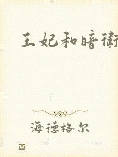王妃和暗卫野H