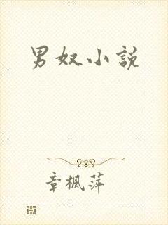 男奴小说