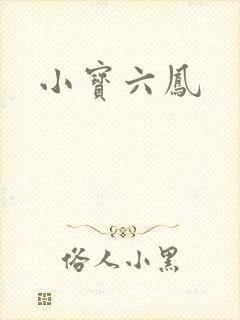 小宝六凤