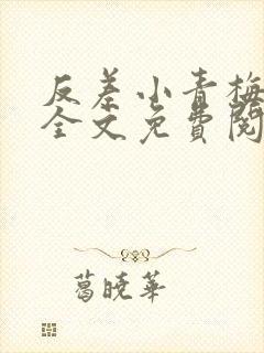反差小青梅小说全文免费阅读封面