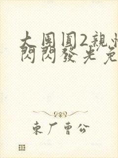 大团圆2亲情会闪闪发光免费