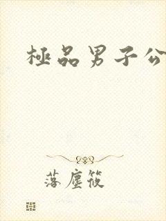 极品男子公寓封面