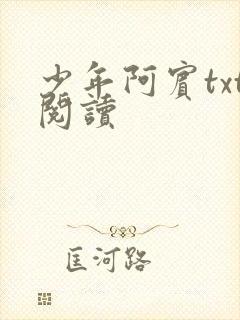 少年阿宾txt阅读