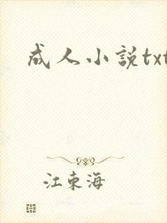 成人小说txt