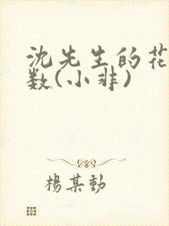 沈先生的花式调数(小非)