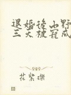 退婚后山野糙汉三天被宠成宝小说