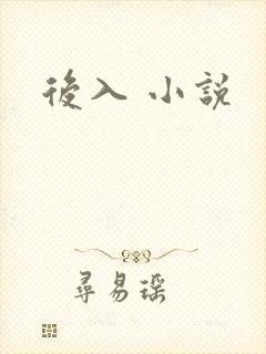 后入 小说封面
