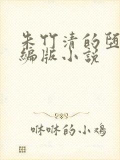 朱竹清的堕落改编版小说封面