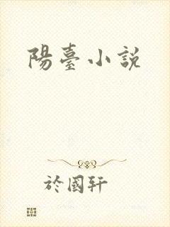 阳台小说封面