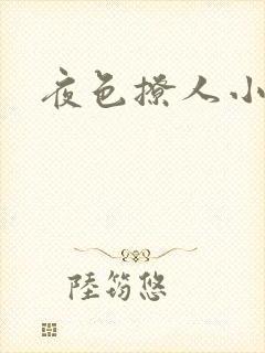 夜色撩人小说