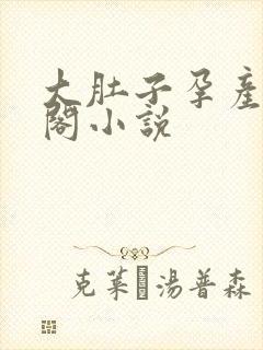 大肚子孕产笔趣阁小说