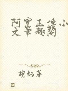 阿宾正传小说全文笔趣阁封面