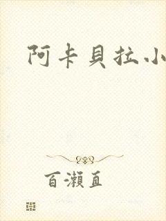 阿卡贝拉小说