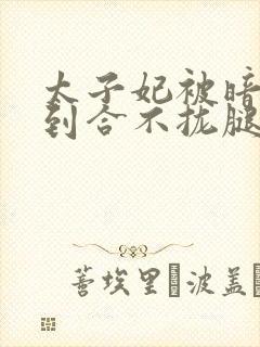 太子妃被暗卫C到合不拢腿
