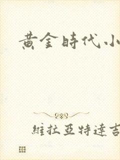 黄金时代小说