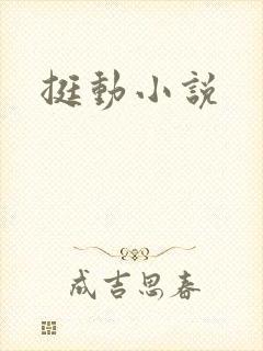 挺动小说封面