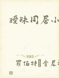 暧昧同居小说封面