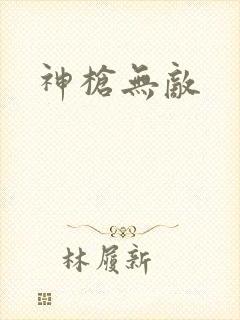 神枪无敌封面