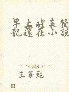 早上醒来发现巨龙还在小说