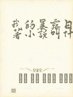 我的暴露日记原著小说叫什么封面