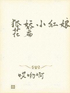 狐妖小红娘两生花篇封面