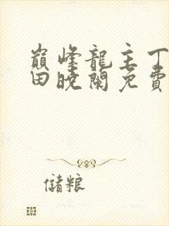 巅峰龙主丁长顺田晓兰免费阅读