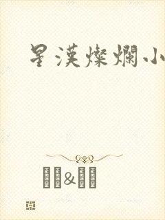 星汉灿烂小说