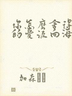 你怎么舍得让我的爱流向海封面