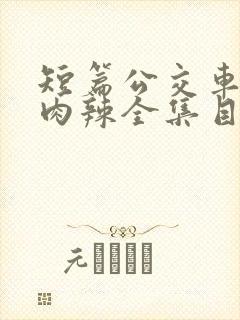 短篇公交车高h肉辣全集目录