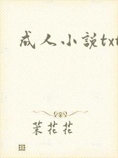 成人小说txt封面