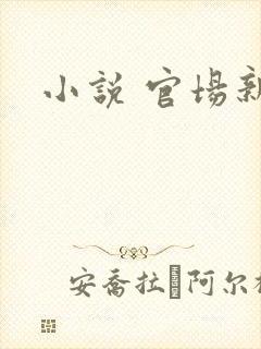 小说 官场新贵