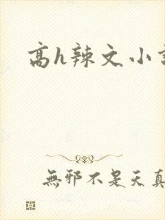 高h辣文小说