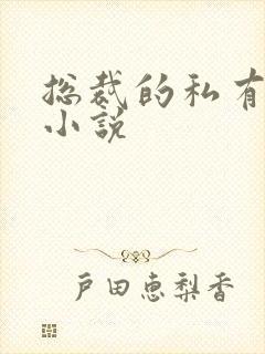 总裁的私有宝贝小说封面