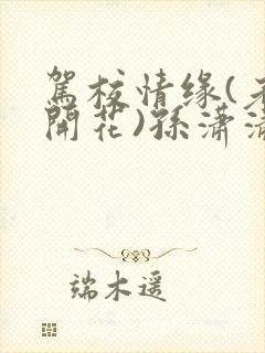 驾校情缘(老树开花)孙潇潇第一次趣笔阁封面