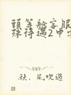 头等舱客服的特殊待遇2中字