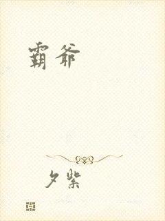 霸爷