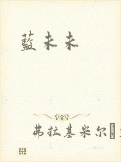 蓝未未封面