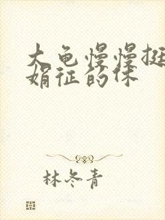 大龟慢慢挺进张娟征的休封面