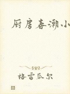 厨房春潮小说