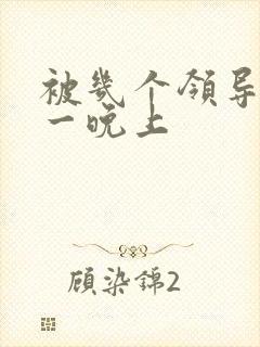 被几个领导玩弄一晚上