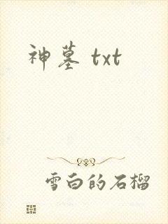 神墓 txt封面