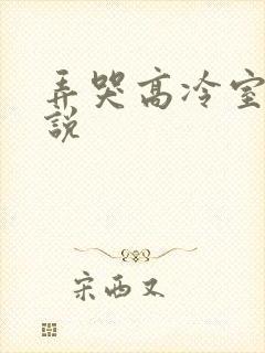 弄哭高冷室友小说