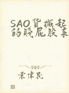 SAO货撅起你的贱屁股来