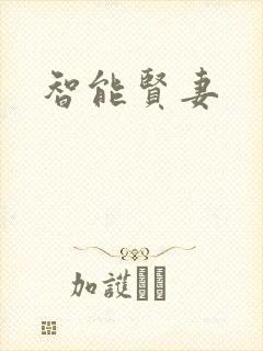 智能贤妻